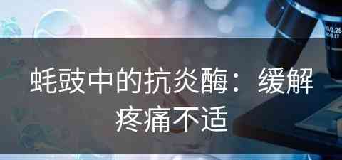 蚝豉中的抗炎酶：缓解疼痛不适